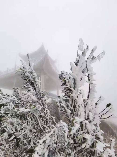 寒潮杀到！钦州最低气温低至3℃，美丽冻人！钦州这些地方结冰了