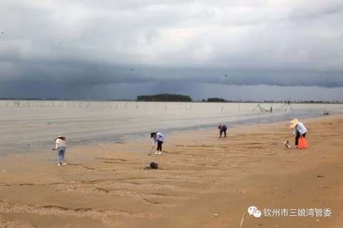 三娘湾美化综合整治，游客请自觉保护海洋环境。